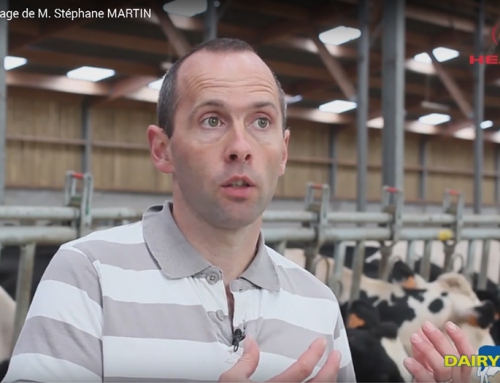 Témoignage de M. Stéphane MARTIN